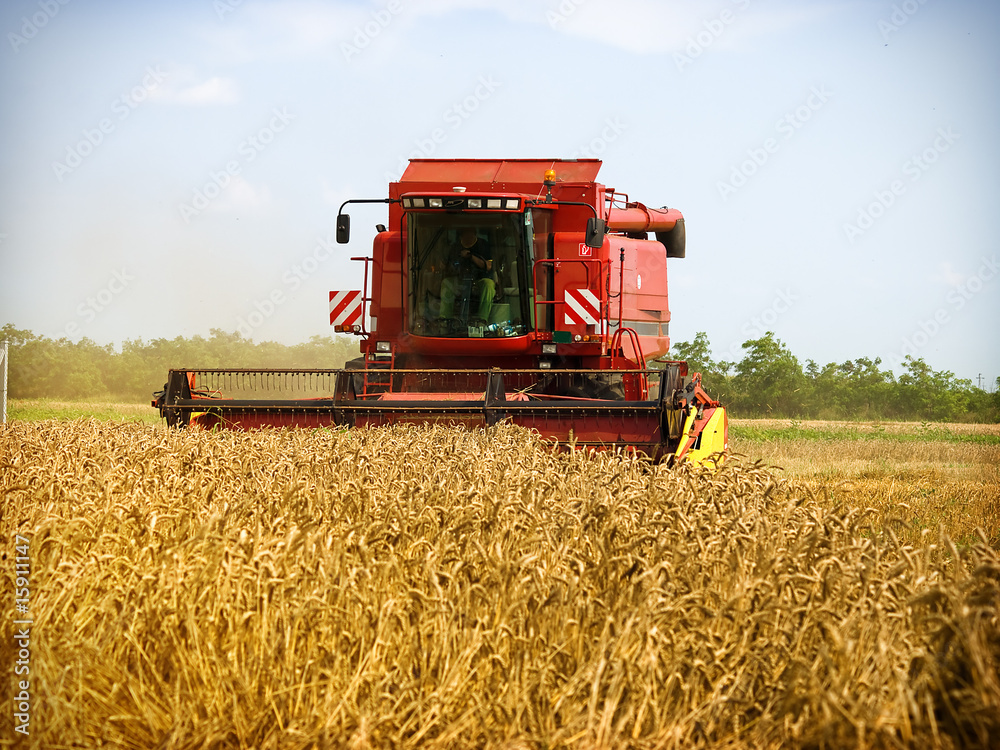 Obraz premium Combine working