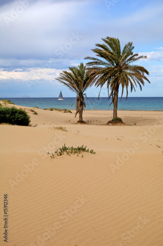 Sand dune © Marta P. (Milacroft)