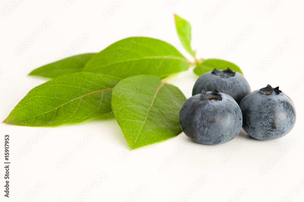 Blaubeeren und Blaubeerblätter Blaubeeren und Blaubeerblätter