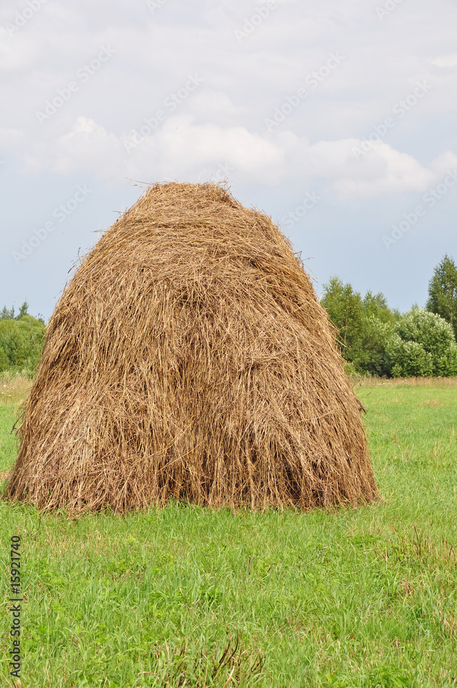 Agricultural hay on background of the green herb Agricultural hay on background of the green herb