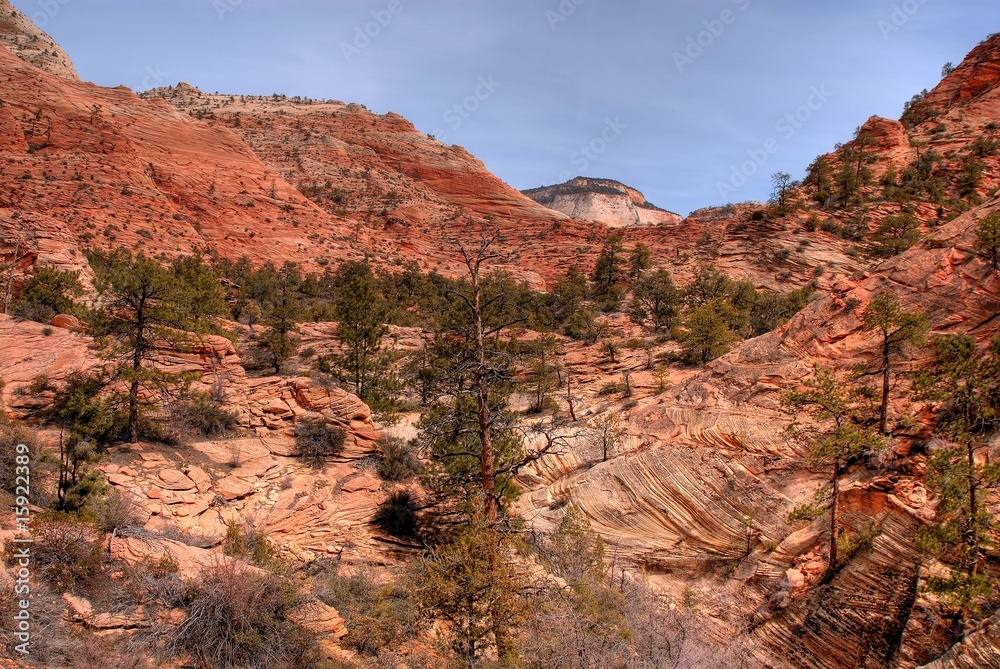 Fototapeta premium Zion National Park