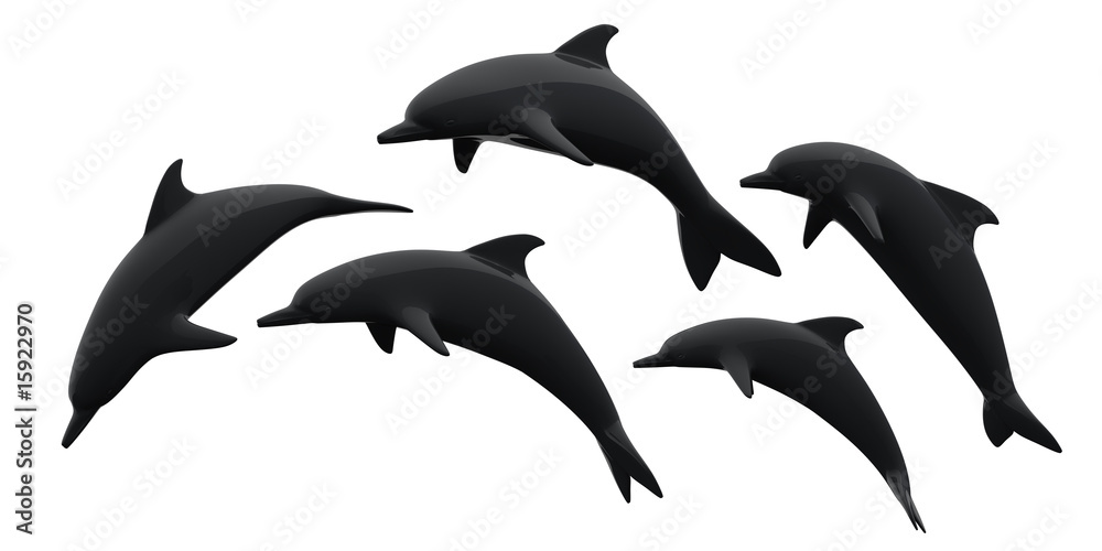 Fototapeta premium dolphins jumping on white background
