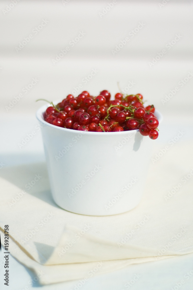 red currents red currents