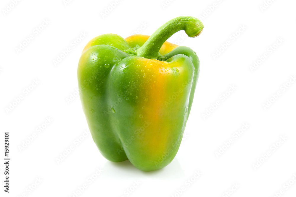 fresh green paprika on white background fresh green paprika on white background