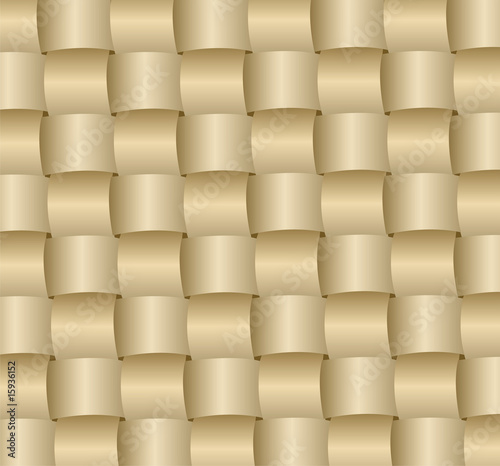 braided surface vector
