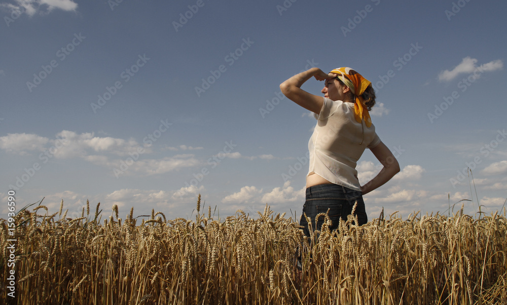 Fräulein im Feld