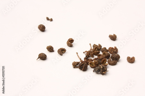 Sichuan pepper photo