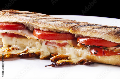 panini sandwich