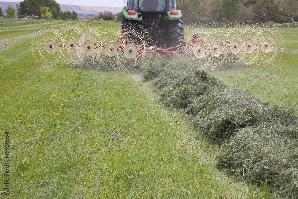 Fototapeta premium Tractor with hay rake