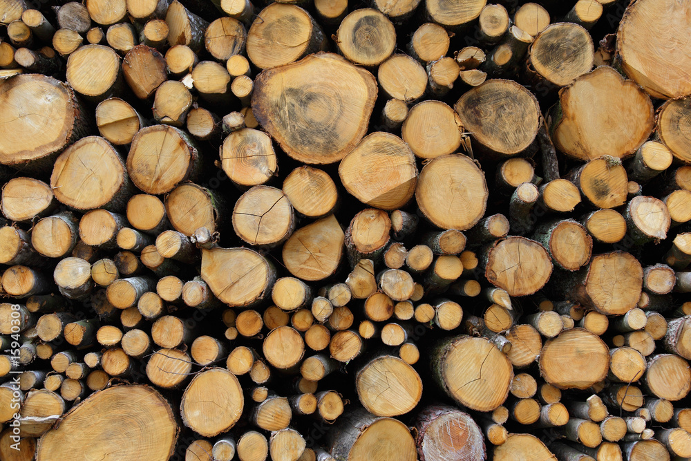 holzstapel holzstapel