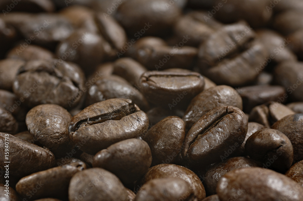coffee beans_006 coffee beans_006