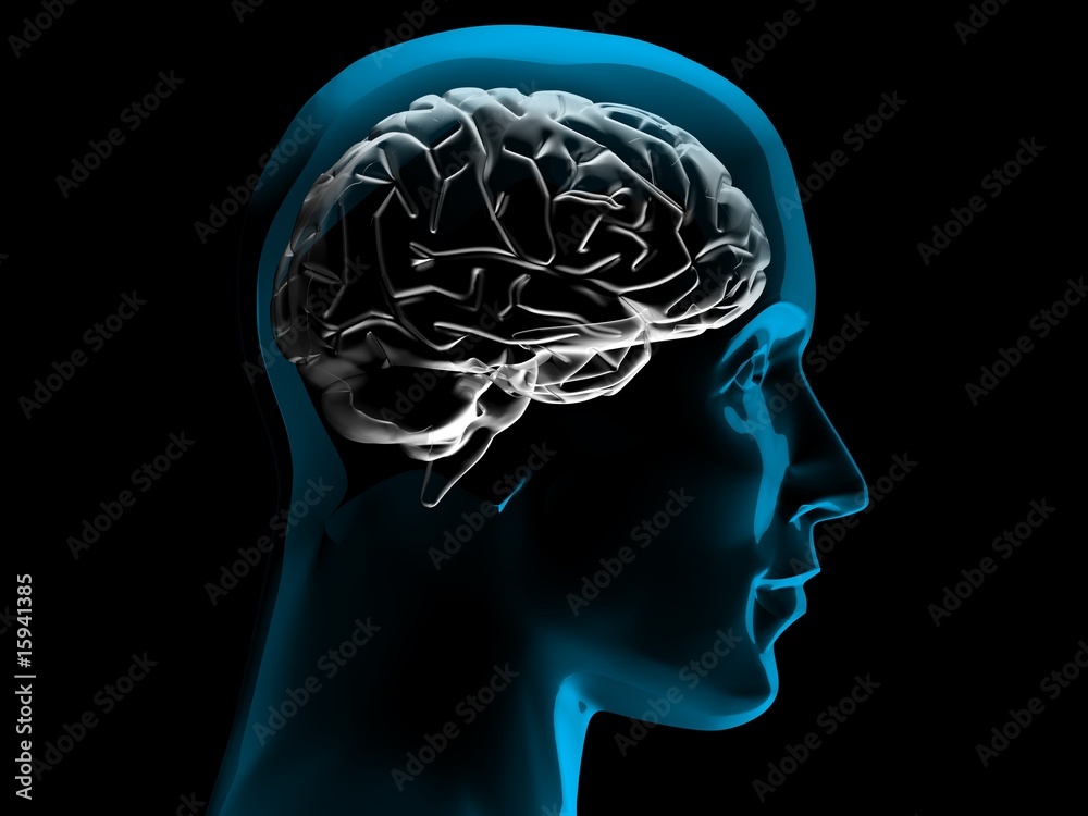 Obraz premium brain 3d