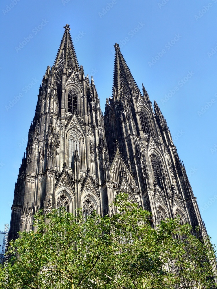 Kölner Dom von vorne Stock-Foto