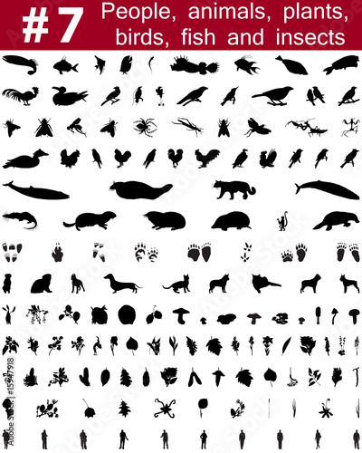 vector silhouettes set. Set # 7