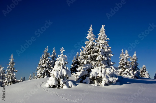 Hochwinter in Oberbayern