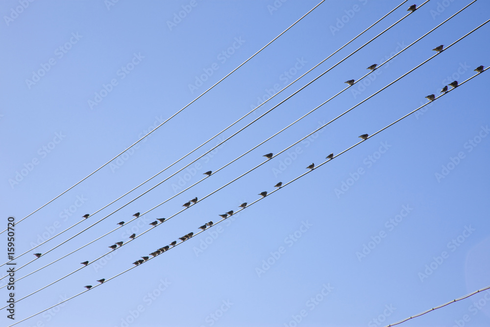 電線 電線
