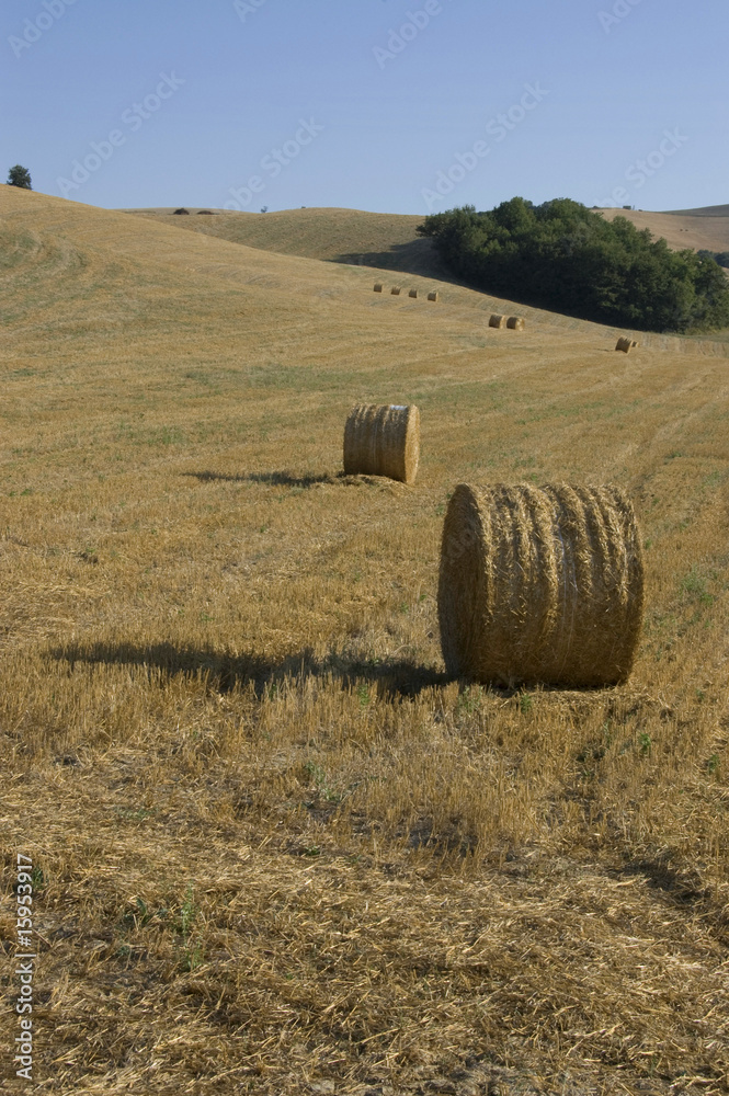 tuscany