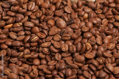 coffee grain