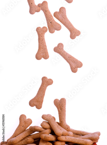 petites friandises en forme d'os pour chien - chute tomber