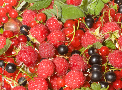 Fototapeta Naklejka Na Ścianę i Meble -  fresh berries as background