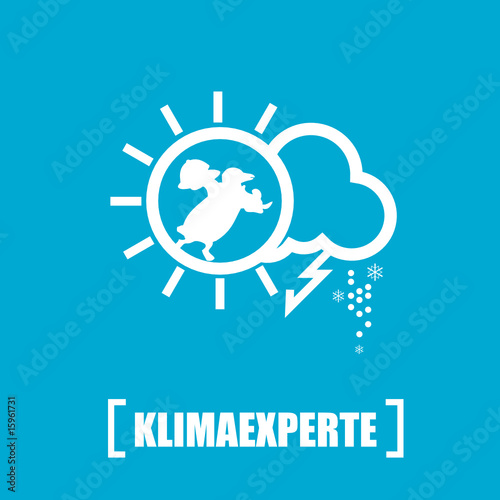 mrexpert