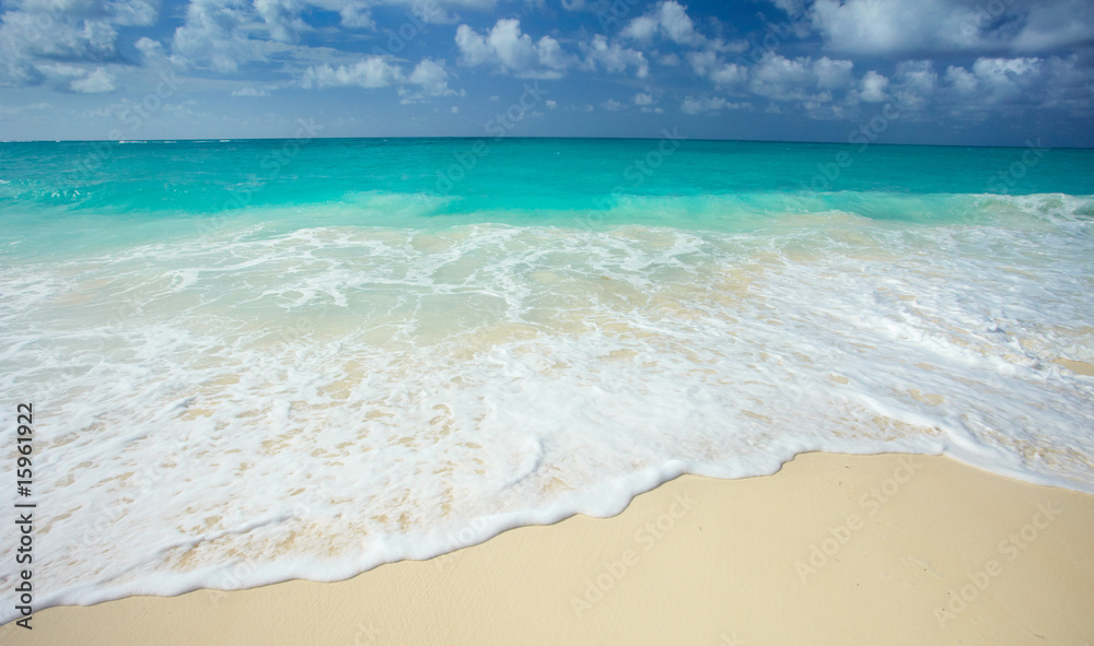 Obraz premium the beach