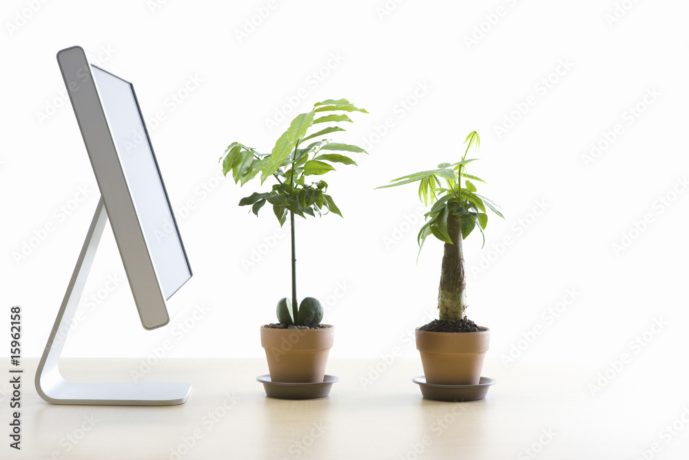 エコイメージ エコイメージ