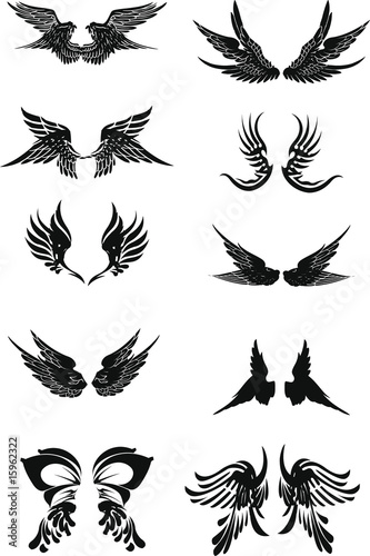 set of angel wings collection