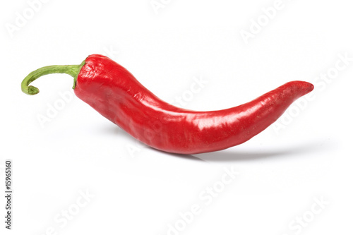 chile pepper