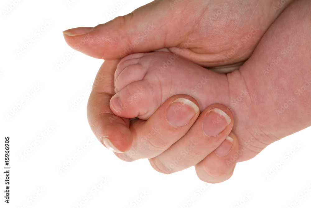 small leg in hand small leg in hand