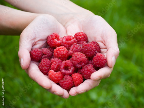 handful raspberries