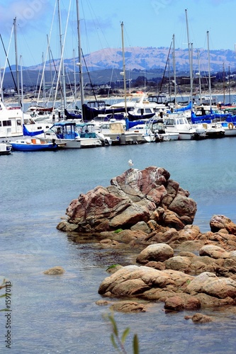 voiliers dans une marina en été