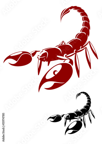 Isolated scorpion in danger pose