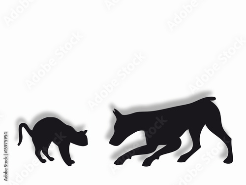 Cane e gatto