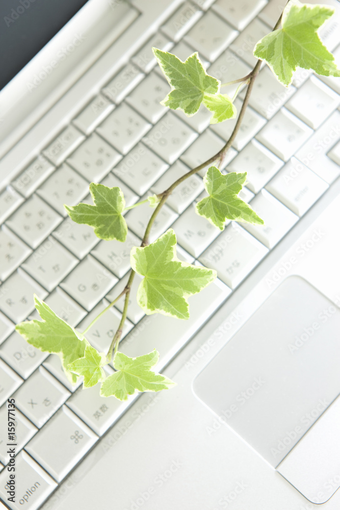 ノートパソコンと観葉植物 ノートパソコンと観葉植物
