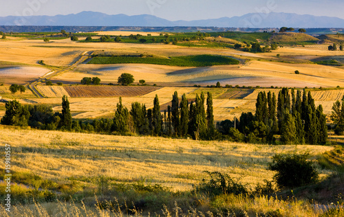 landscape near Penaranda de Duero, Burgos Province, Spain