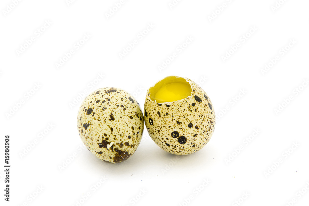 Obraz premium Quail eggs