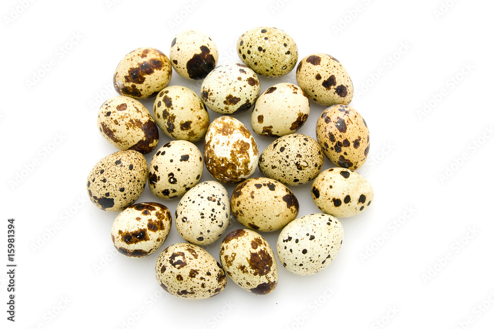 Quail eggs