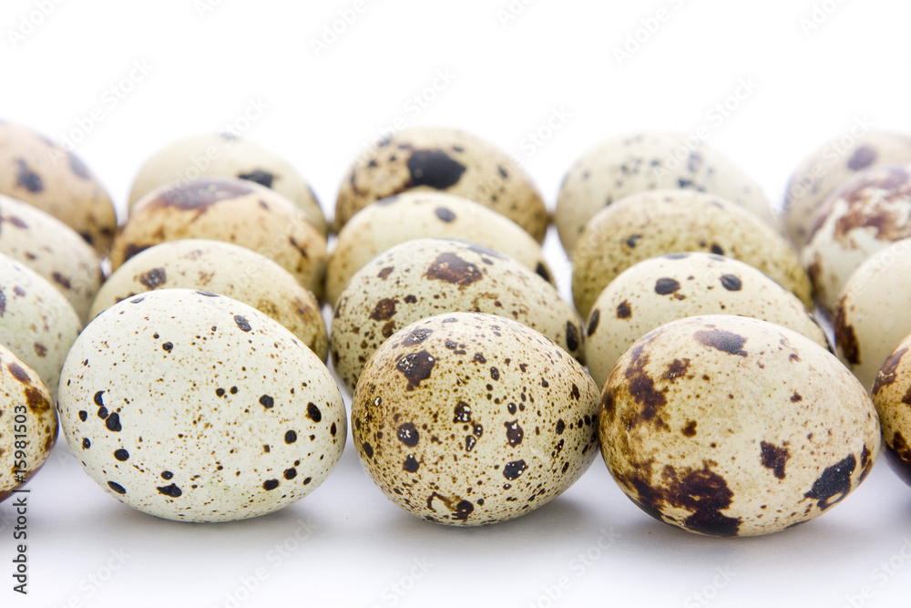 Quail eggs