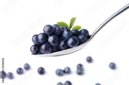 Slika na platnu bilberry