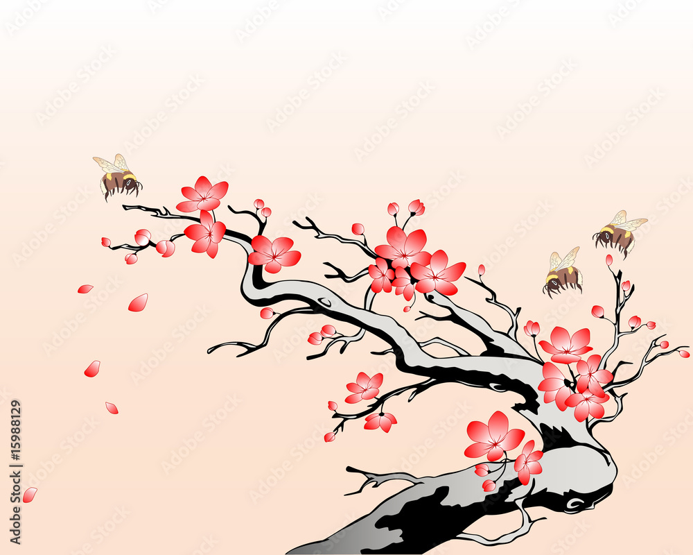 Fototapeta kwitnąca gałąź wiśni z latającymi pszczołami