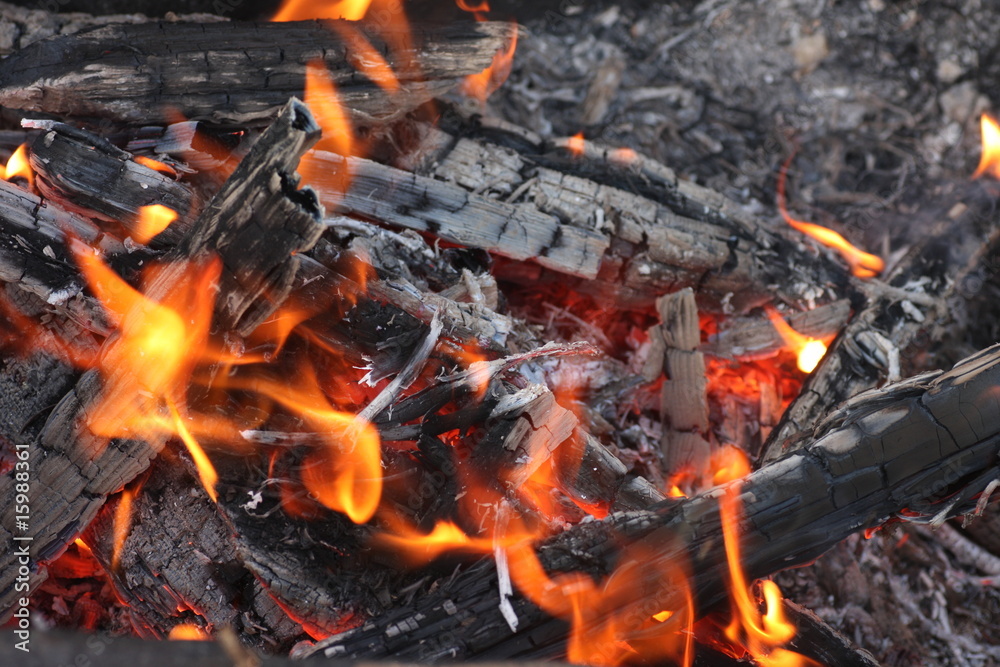 feuer feuer