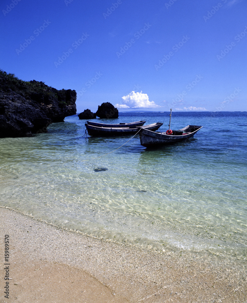 Obraz premium 木造船と海