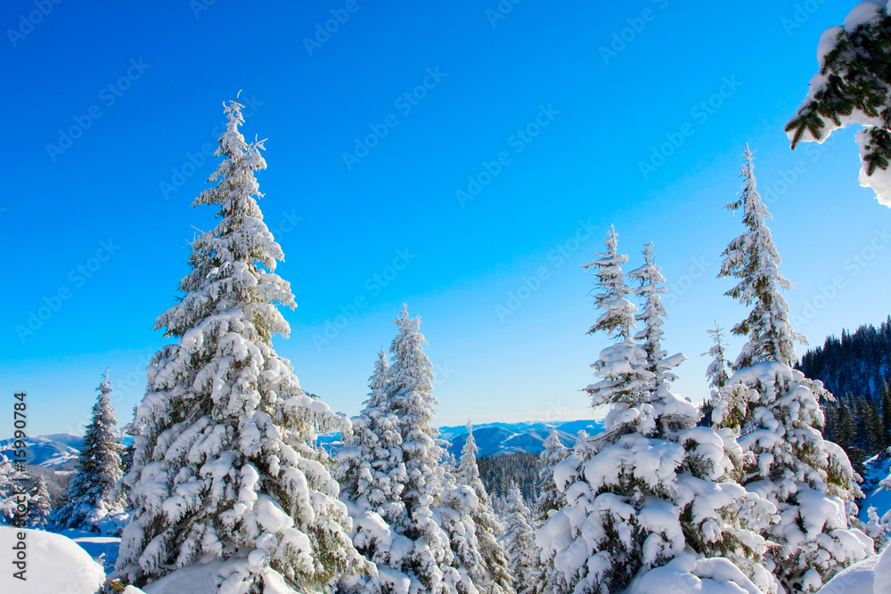 Carpathian winter mountains Carpathian winter mountains