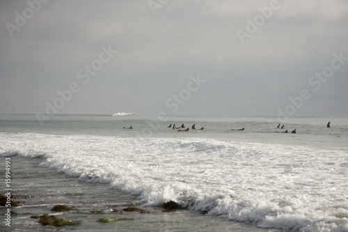 surfers waiting for the wave