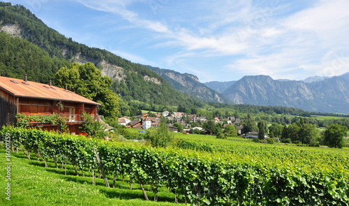 Bilde på lerret vignoble de Jenins