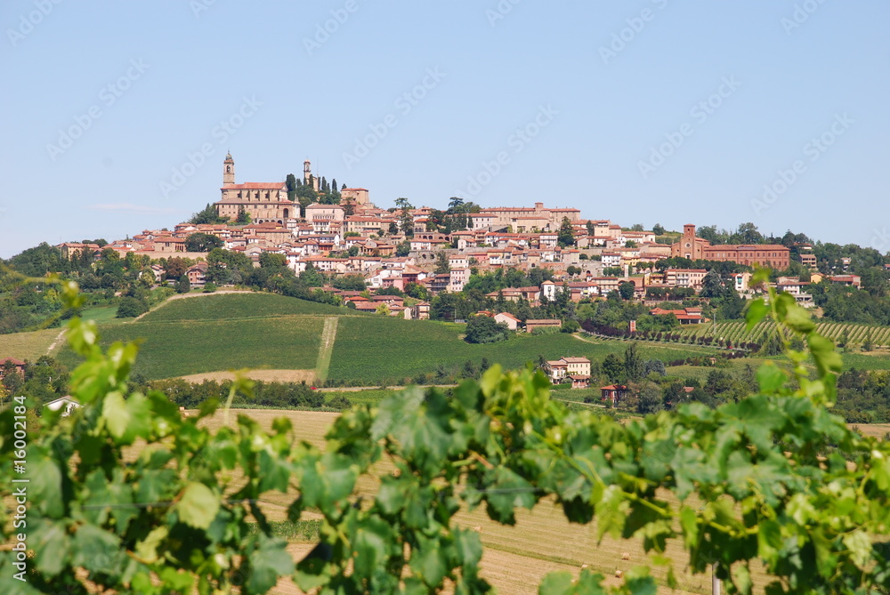 Vignale monferrato