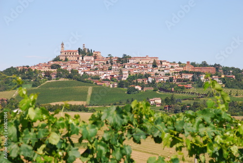 Vignale monferrato
