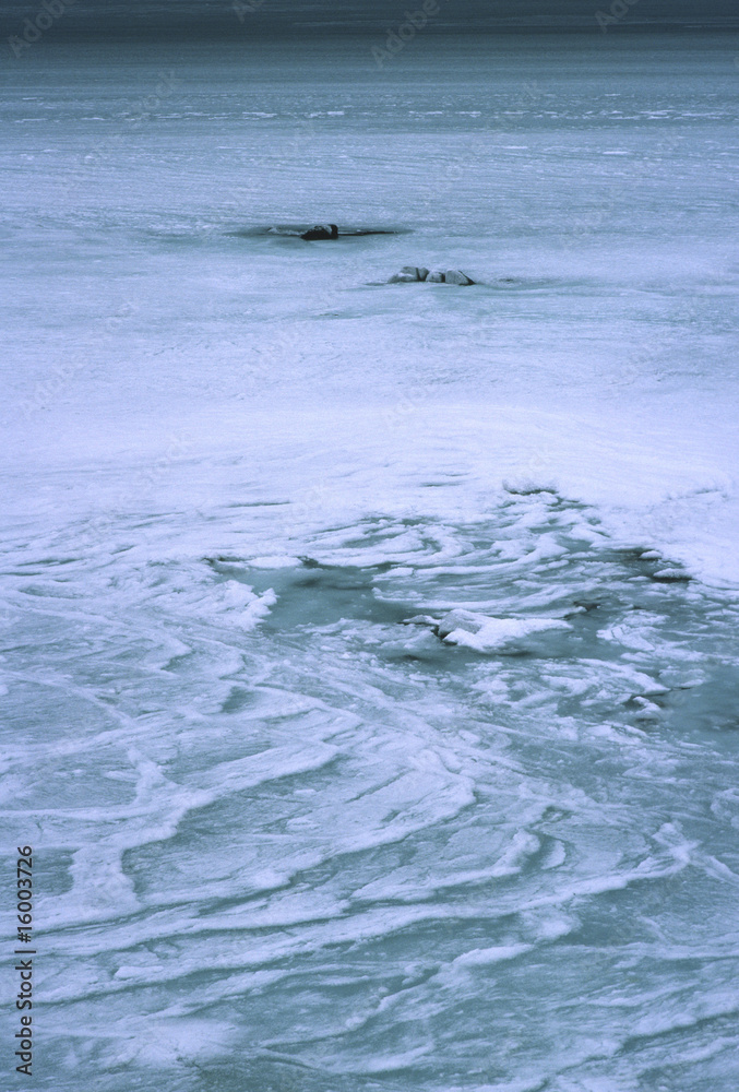 凍てつく海