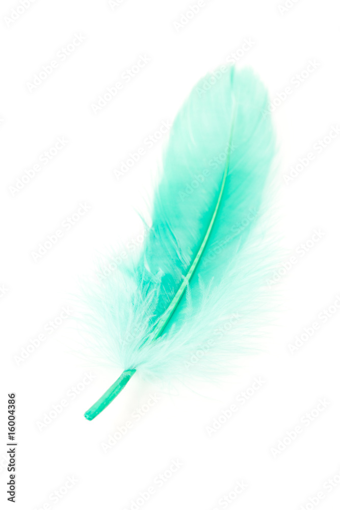 Green Feather